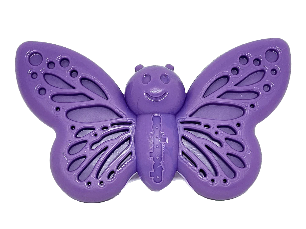 Butterfly Nylon Chew Toy